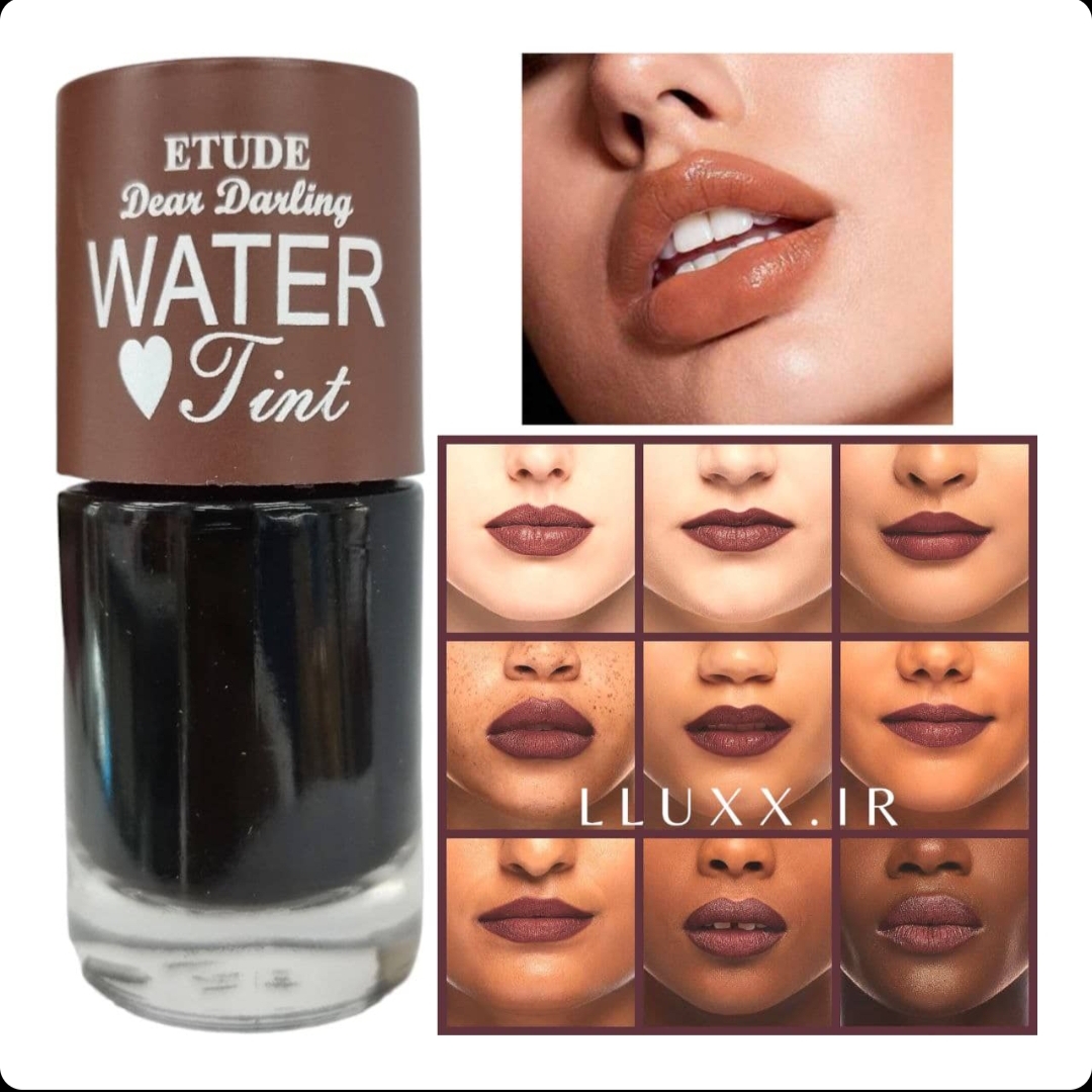 تینت لب قهوه ای  هاوس  مدل واتر تینت Water Tint اصل